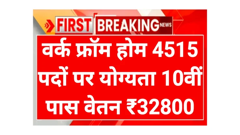 Work From Home Scheme for Women